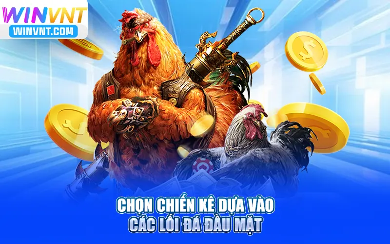Chọn chiến kê dựa vào các lối đá đầu mặt