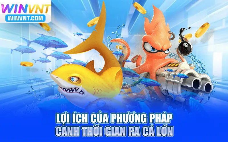 Lợi ích của phương pháp cách canh thời gian ra cá lớn