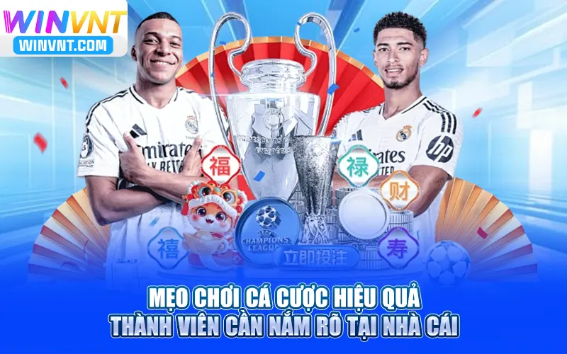 Mẹo chơi cá cược hiệu quả thành viên cần nắm rõ tại nhà cái