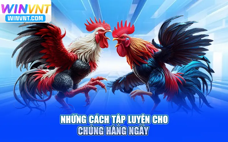 Những cách tập luyện cho chúng hàng ngày