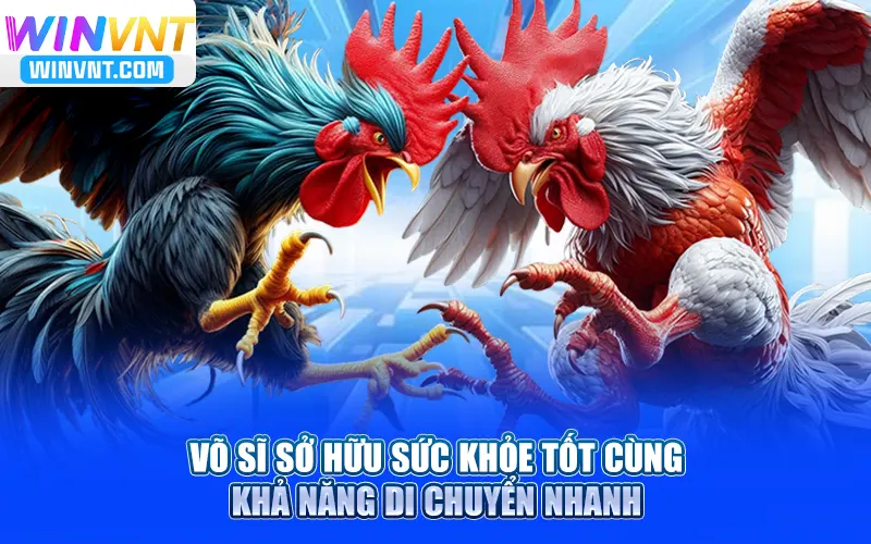 Võ sĩ sở hữu sức khỏe tốt cùng khả năng di chuyển nhanh